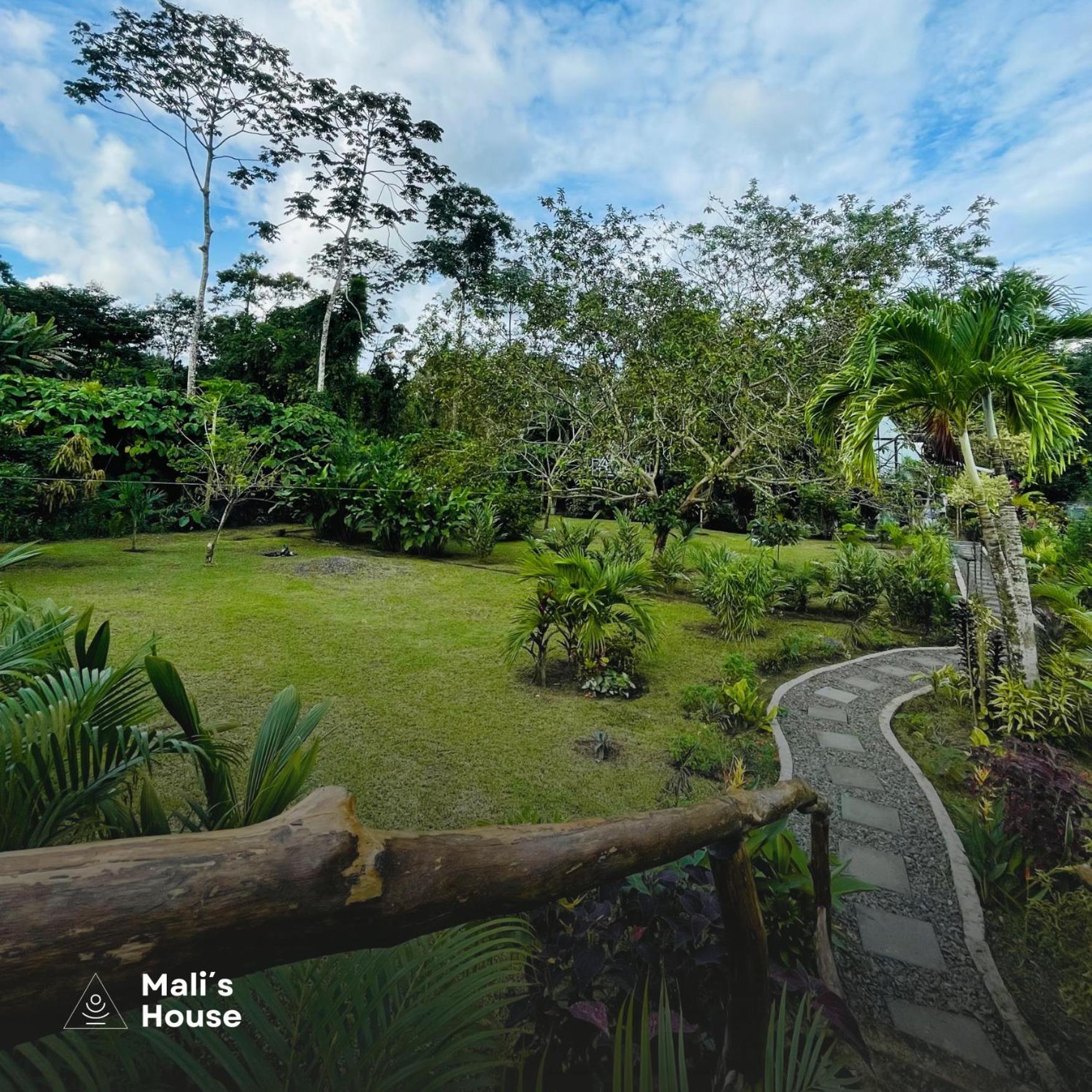 Mali'S House Hotel La Fortuna Exterior photo